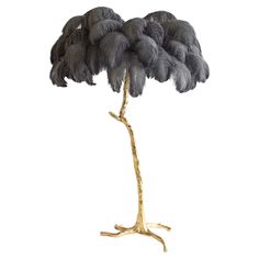 an ostrich's feathers on a branch are shown against a white background