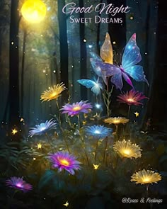 some flowers and butterflies in the woods with words good night sweet dreams written on them