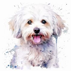 a watercolor painting of a white dog