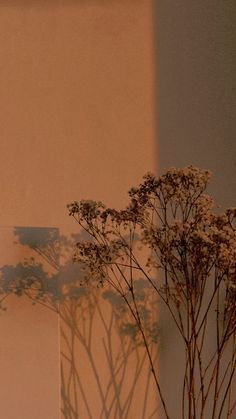 a vase filled with flowers sitting on top of a table