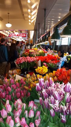 many different colored tulips are on display in a flower shop with people looking at them