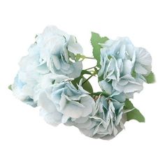 some blue flowers on a white background