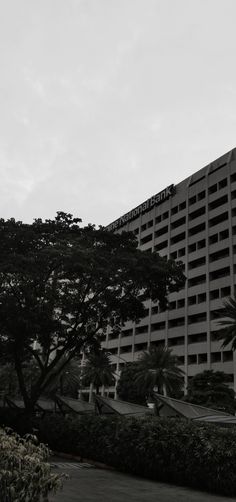 a very tall building sitting next to a lush green tree filled park in front of it