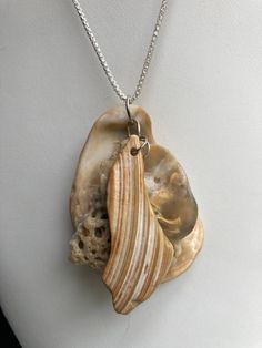 "Sea shell choker pendant, ocean shells clustered with all different types of shells on Sterling plated rings. Unique seashell pendant measures 2 3/4\" X 1 7/8''. comes on a sterling plated 20\" loop chain seen in the last picture. Sterling silver necklace is not included, it was used as DISPLAY ONLY.  But it can be purchased for $52.50 and necklace 20'' and  is stamped 925 Italy. You can compare the size of the shells to the $0.50 cent piece in the pictures. All my necklaces are different and would be considered one of a kind. View my collection of Kingman Arizona Turquoise here: https://www.etsy.com/shop/MoonwaterJewelryShop?section_id=28192591  I've been selling on eBay since 2003 Came to Etsy to sell jewelry. Returns and exchange details ► RETURNS / EXCHANGES All items are handcrafted Sea Shell Pendant Necklace, Sea Shell Jewelry Ideas, Unique Shell Pendant Necklace, Unique Shell Necklaces, Unique Mother Of Pearl Shell Pendant Necklace, Sea Shell Necklace Diy, Shell Necklace Diy, Deer Horn Jewelry, Seashell Jewelry Diy