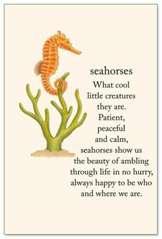 a card with an illustration of seahorses on the bottom and words below it