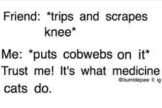 the text reads friend trips and scrapes knee me puts cowboys on it trust me it's what medicine cats do