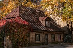 an old building with vines growing on it's roof next to a tree filled street