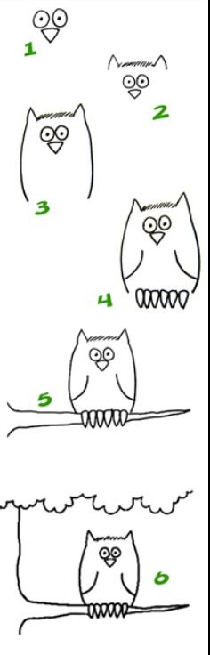 how to draw an owl with four different faces