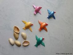 five different types of sea shells on a white surface