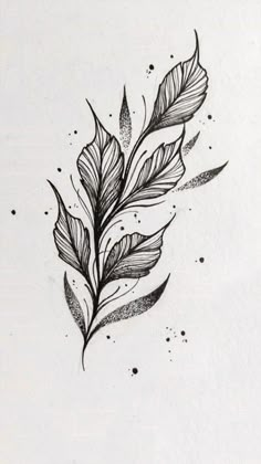 a black and white drawing of a leaf