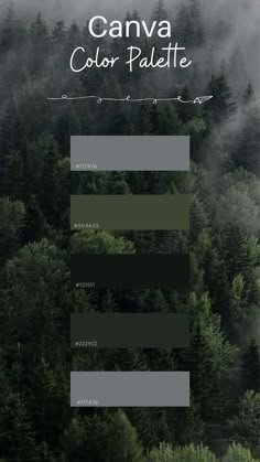 an aerial view of trees and fog in the distance with text that reads canva color palette