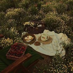 a picnic is set out in the middle of a field with flowers and fruit on it