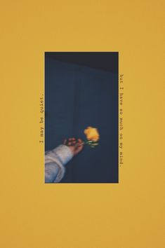 a person holding a yellow rose in their hand