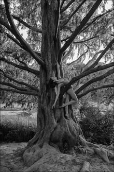 black and white photograph of a woman in a tree