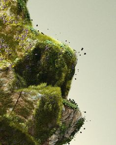 an abstract photo of mossy rocks and plants