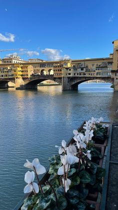 some flowers are sitting by the water in front of an old bridge with buildings on both sides