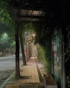 an empty sidewalk next to a tree lined street at night with lights shining on the trees