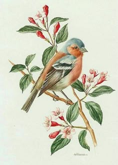 a bird sitting on top of a branch with flowers