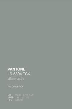 pantone's slate gray paint color is shown in this advertisement for the company