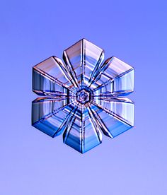 an abstract image of a blue flower in the air with a clear sky behind it