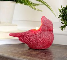 a red bird sitting on top of a wooden table next to a potted plant