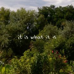 the words it is what it is written in white letters over trees and bushes with flowers