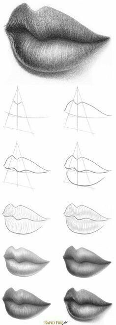 various lips with different angles and shapes