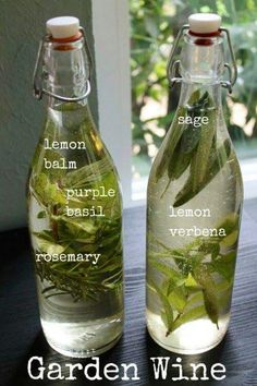 two glass bottles filled with water and herbs