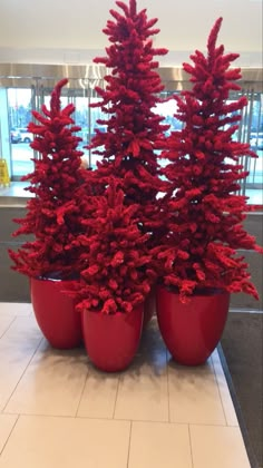 three red potted trees sitting on top of a tiled floor