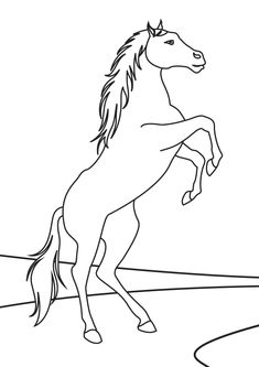 a horse that is standing on its hind legs