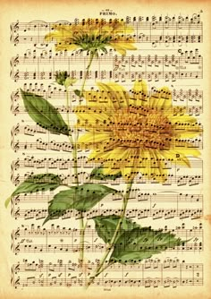 an old sheet music with yellow sunflowers and green leaves on the top of it