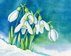 watercolor painting of snowdrops in the snow on a sunny day with blue sky