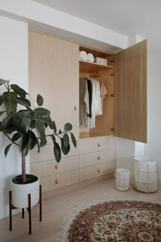 a plant in a white vase sitting on top of a wooden cabinet next to a rug