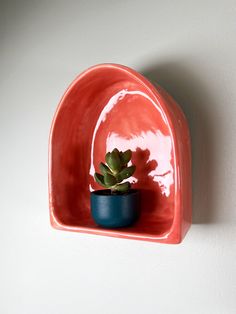 a small succulent in a blue pot on a red shelf against a white wall