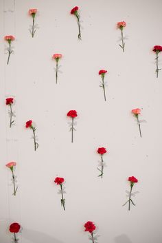 several red flowers are arranged on a white wall in order to form a flower arrangement