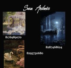 four different pictures of swans in the water at night, and one with a boat on it