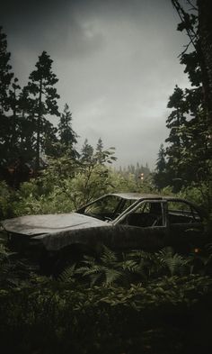 an old abandoned car sitting in the middle of a forest with trees and bushes around it