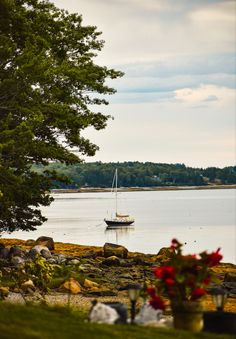 a sailboat is out on the water near some rocks and flowers in vases