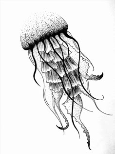 a black and white drawing of a jellyfish