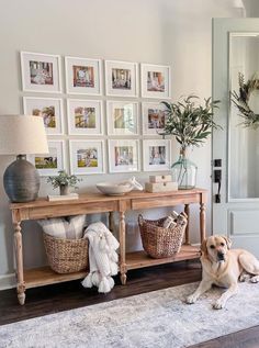 a dog laying on the floor in front of a table with baskets and pictures on it