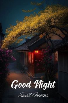 Gud Night, Good Evening Messages, Lovely Good Night, House Front Door Design, Night Greetings, Beautiful Good Night Images, Good Morning Beautiful Flowers, Good Morning Life Quotes