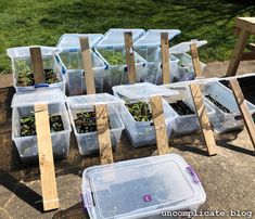 several plastic containers with plants in them sitting on the ground