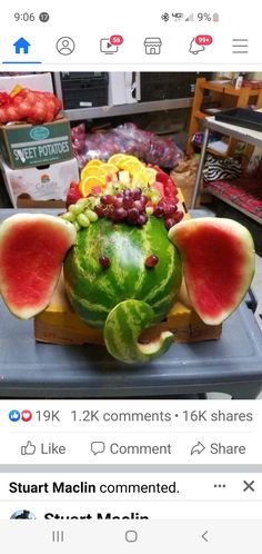 an elephant made out of watermelon and fruit