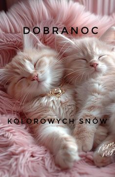 two white cats are sleeping on a pink blanket with the caption dobranoc