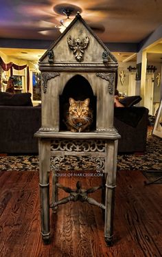 a cat is sitting in an old fashioned fireplace