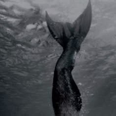 a black and white photo of a mermaid tail in the ocean with water around it