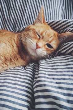 an orange and white cat sleeping on top of a striped comforter with its eyes closed