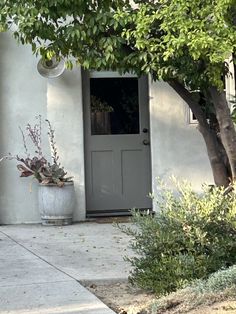 a planter with flowers in front of a white door on a house's side walk