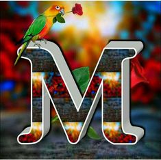 the letter m with a bird on top of it and a rose in front of it