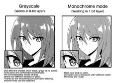 an anime character's face is shown with the words grayscale and monochromee